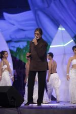 Amitabh Bachchan at Global Sounds Of Peace live concert in Andheri Sports Complex, Mumbai on 30th Jan 2013 (216).JPG